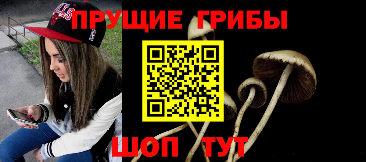 Пугачёв  Галлюциногенные грибы GOLDEN TEACHER  Вход с VPN 