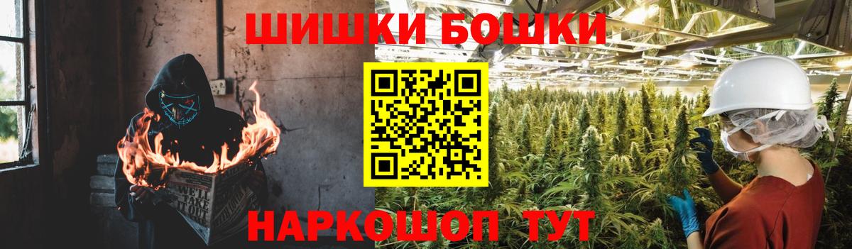 Канабис планчик Пугачёв